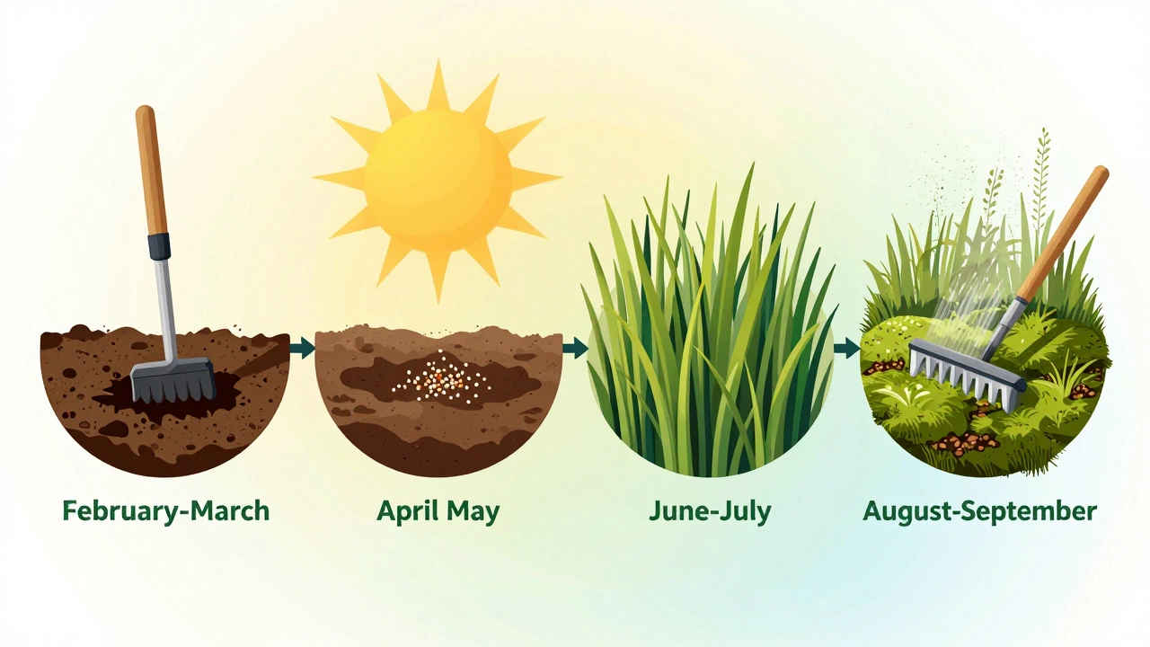 Seasonal lawn care cycle showing aeration, fertilizing, mowing high, and moss removal.