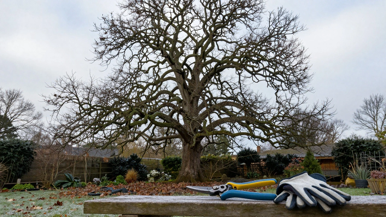 What Month Do You Prune Trees in UK? The Complete Guide for 2026