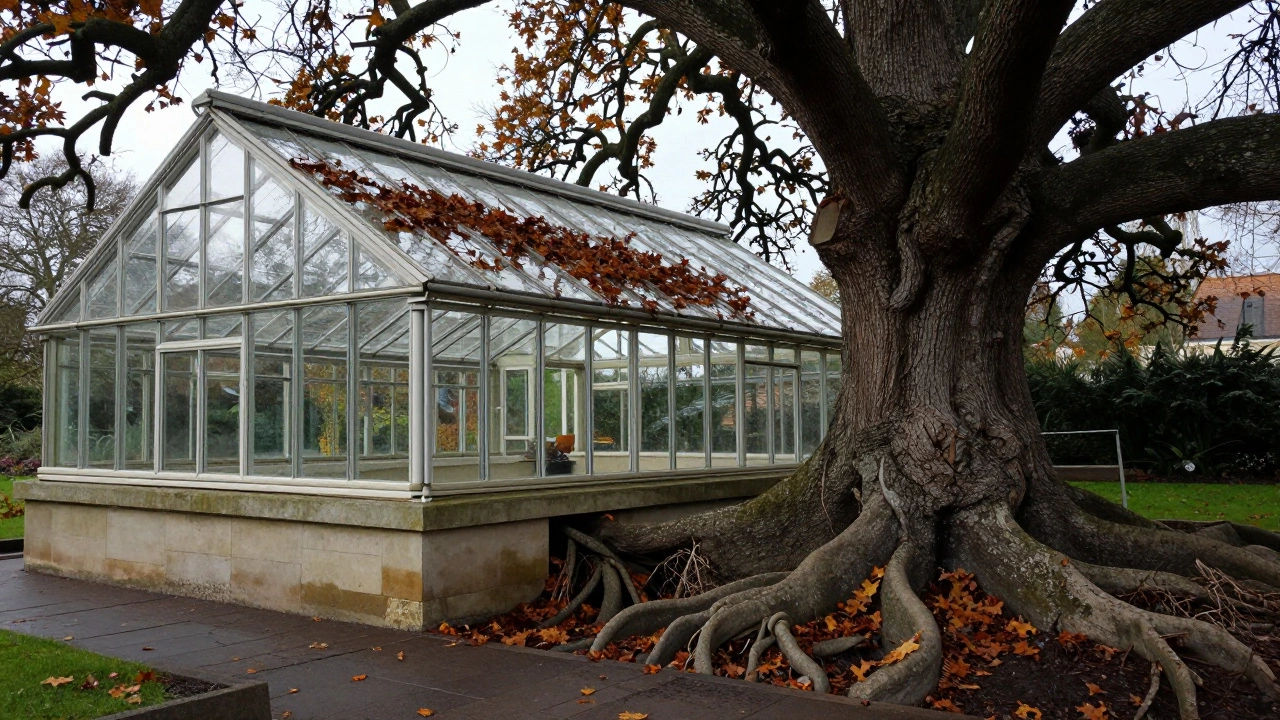 Where Not to Put a Greenhouse: 7 Fatal Location Mistakes in the UK